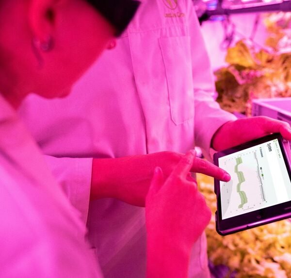 maximize growth with technology